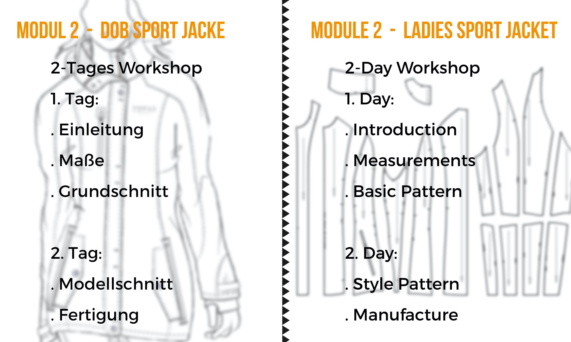 module 2 - ladies sport jacket